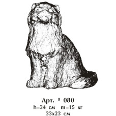 Кот 080