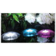 Подводные светильники Sicce Flower LED Trio