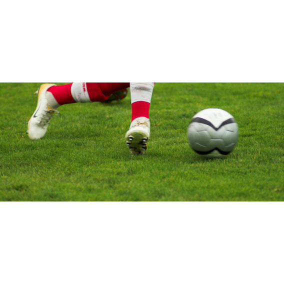 Газонная трава износостойкая Play&Sport Barenbrug 1 кг