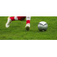 Газонная трава износостойкая Play&Sport Barenbrug 1 кг