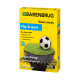 Газонная трава износостойкая Play&Sport Barenbrug 1 кг