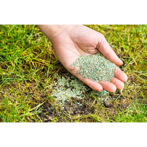 Газонная трава для быстрого восстановления SOS Lawn Repair Barenbrug 1кг